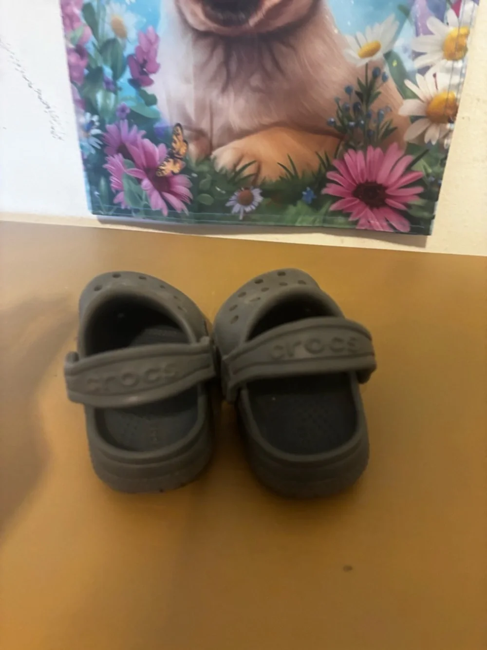 CROCS Kids Classic Clog - Gray C5
